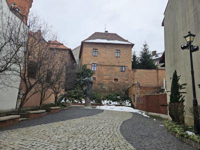 20251127_102513 (Copy).jpg