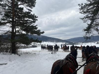 image_81131CF2-146B-42BD-B506-0926BCA5ED79_1769166545 (Copy).jpg